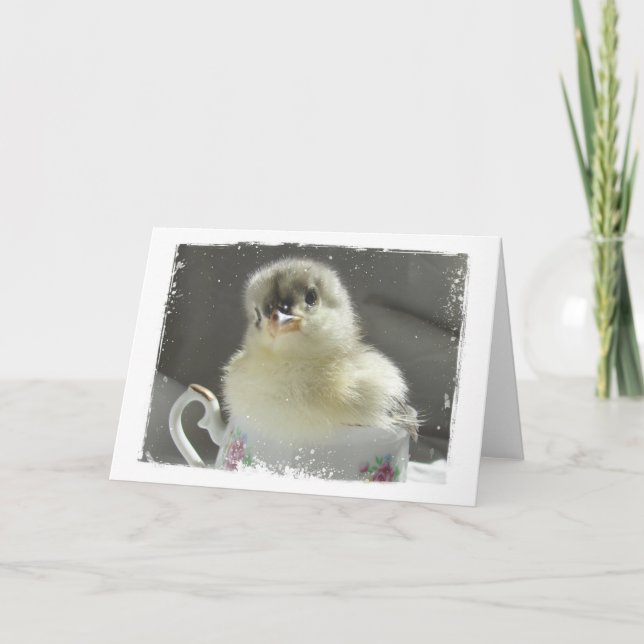 Blue Cochin Chick in a Teacup All Occasions  Card (Front)