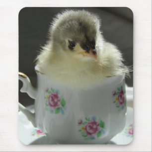Blue Cochin Chick in Teacup Mouse Pad