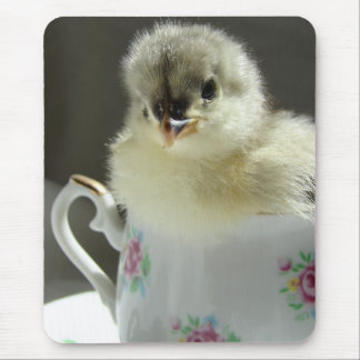 Blue Cochin Chick Mouse Pad