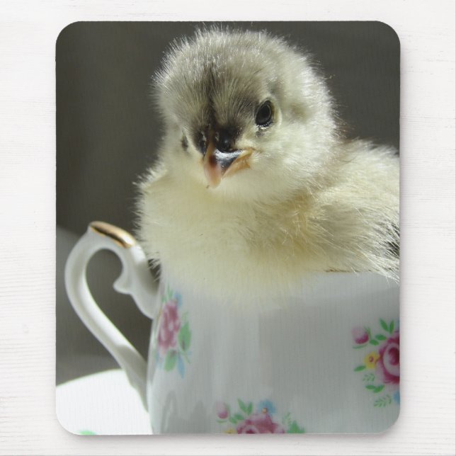 Blue Cochin Chick Mouse Pad (Front)