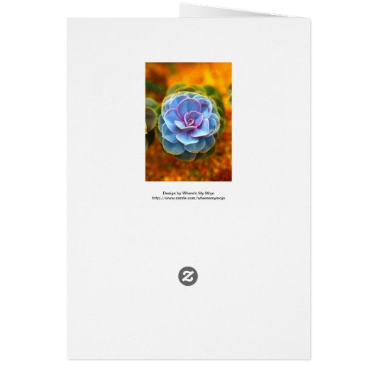 Blue Colored Echeveria (Back)