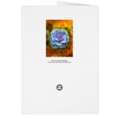 Blue Colored Echeveria Cards (Back)