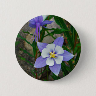 Blue columbine button