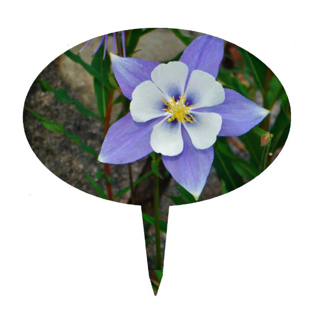 Blue columbine cake topper (Front)
