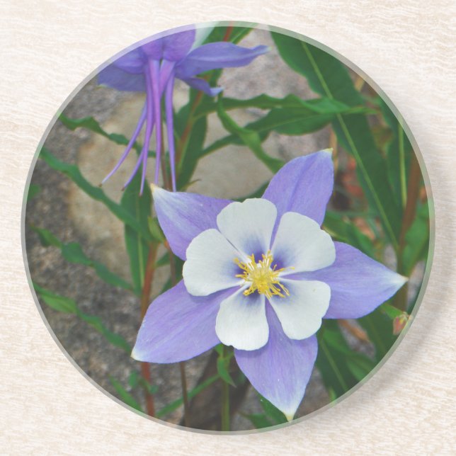 Blue columbine coaster (Front)