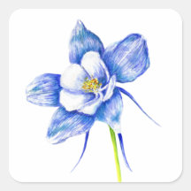Blue Columbine Flower