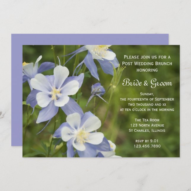Blue Columbine Flowers Post Wedding Brunch Invitation (Front/Back)