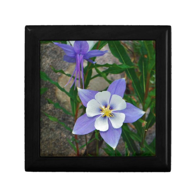 Blue columbine keepsake box (Front)