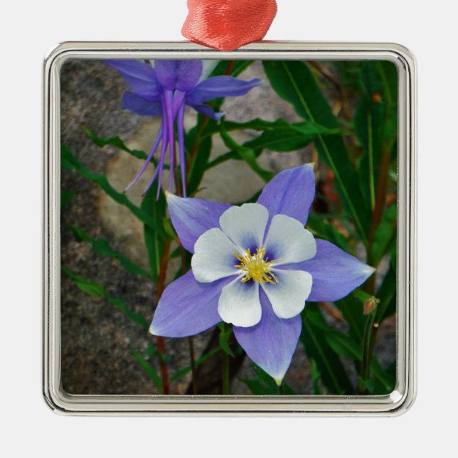 Blue columbine metal ornament (Front)
