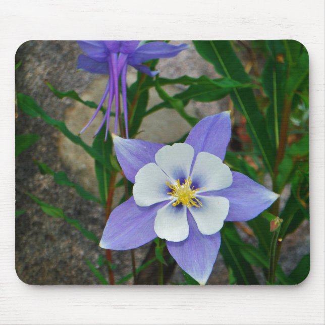 Blue columbine mouse pad (Front)
