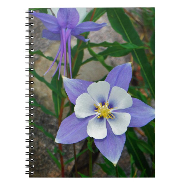 Blue columbine notebook (Front)
