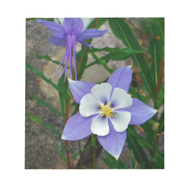 Blue columbine notepad (Front)