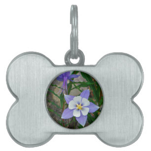 Blue columbine pet name tag