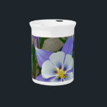 Blue columbine pitcher<br><div class="desc">Blue columbine photo by Sandy Closs in the Mountains of North west Colorado "purple columbine", " Blue columbine" flowers, floral, flower, lavender, blossom, plants, bloom, gardens, garden, wildflower, Colorado mountain</div>