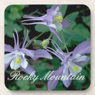 Blue Columbine, Rocky Mountain National Park Drink Coaster
