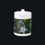 Blue columbine teapot<br><div class="desc">Blue columbine photo by Sandy Closs in the Mountains of North west Colorado "purple columbine",  " Blue columbine" flowers,  floral, flower, lavender,  blossom,  plants,  bloom,  gardens, garden,  wildflower,  Colorado mountain</div>