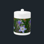 Blue columbine teapot<br><div class="desc">Blue columbine photo by Sandy Closs in the Mountains of North west Colorado "purple columbine", " Blue columbine" flowers, floral, flower, lavender, blossom, plants, bloom, gardens, garden, wildflower, Colorado mountain</div>