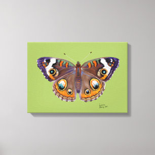 Blue Common Buckeye Butterfly Realistic Painting Canvas Print