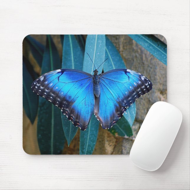 Blue Common Morpho Butterfly  Mouse Pad (With Mouse)