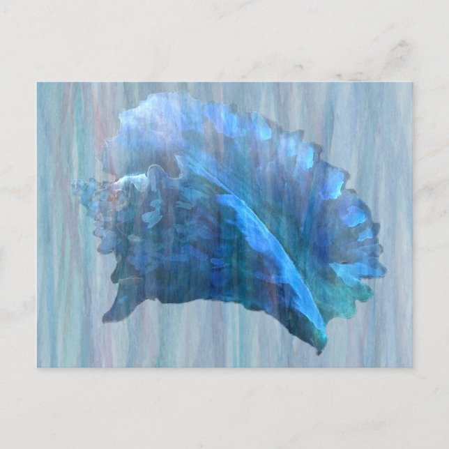Blue Conch Seashell Art Postcard (Front)