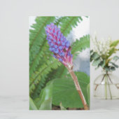 Blue Cone Bromeliad flower (Standing Front)