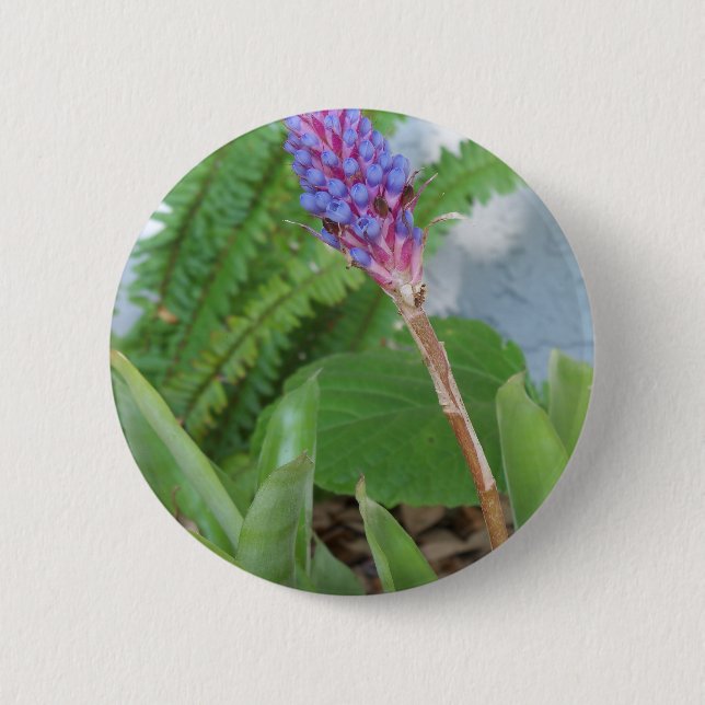 Blue Cone Bromeliad flower Button (Front)