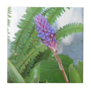 Blue Cone Bromeliad flower Ceramic Tile