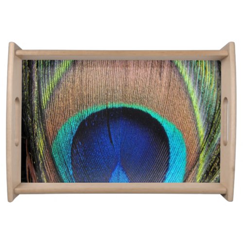 Blue Copper Peacock Feather Close_Up Serving Tray
