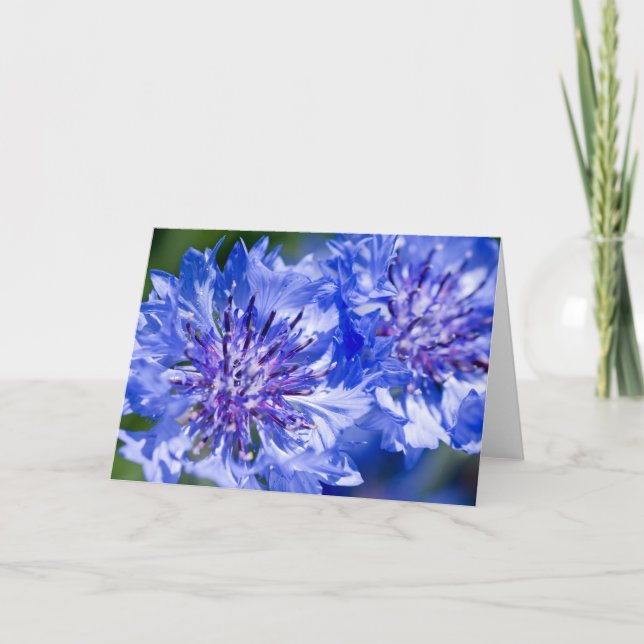 Blue Cornflower Card (Front)
