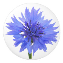 blue cornflower door knob