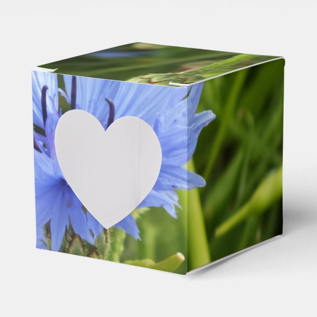 blue cornflower favor boxes (Front Side)