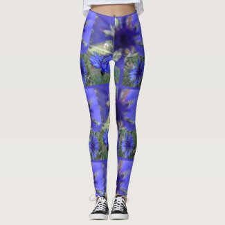 Blue Cornflower Legging