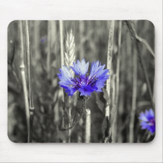 Blue cornflower mouse pad