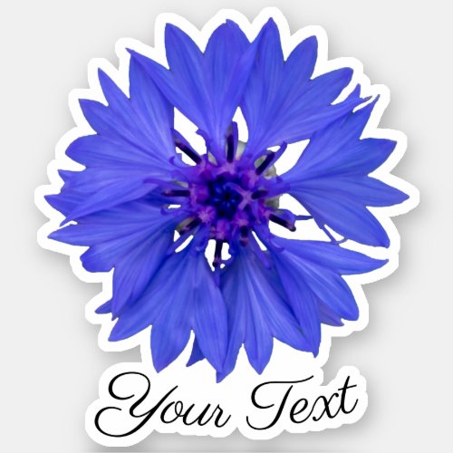 Blue cornflower petals and violet stamps in spring sticker