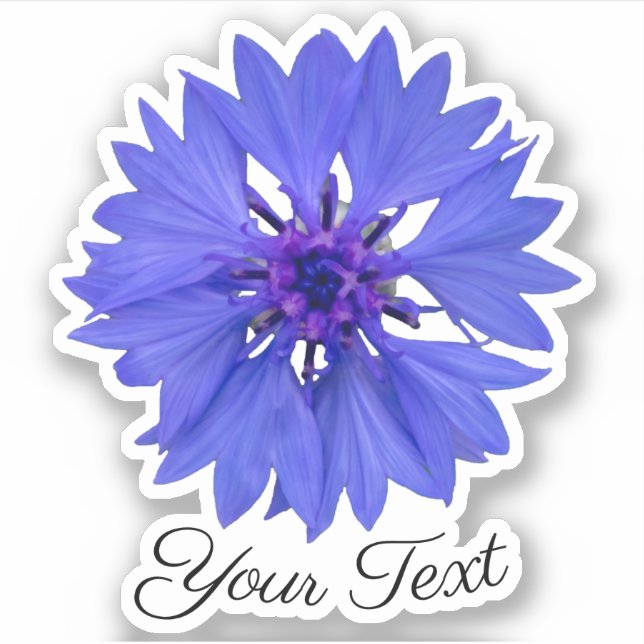 Blue cornflower petals and violet stamps in spring sticker (Front)