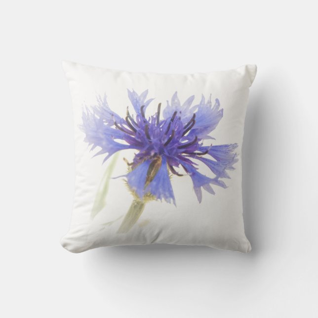 Blue Cornflower Photo - Throw Pillow (Front)