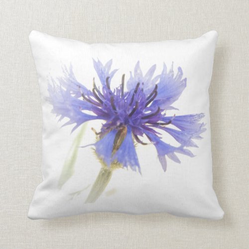 Blue Cornflower Photo - Throw Pillow