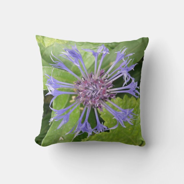 Blue Cornflower Pillow (Front)