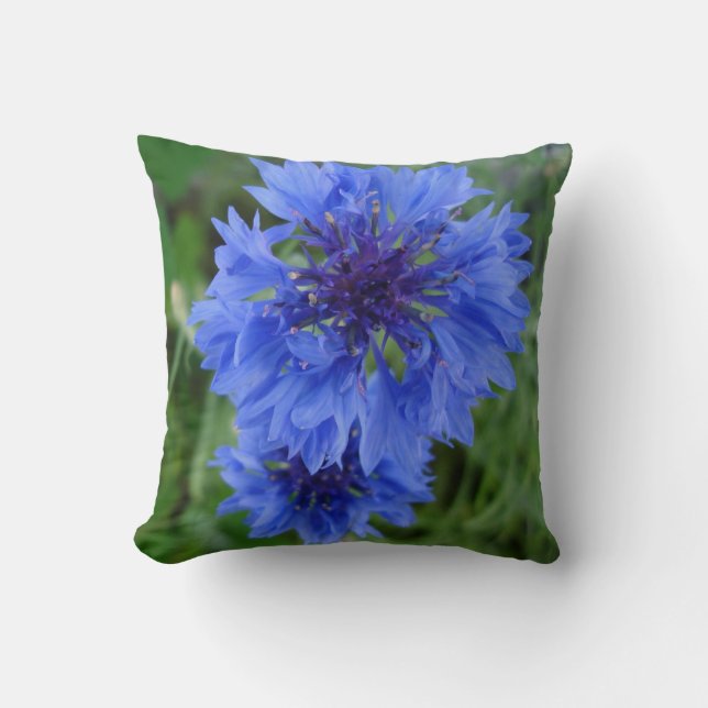 Blue Cornflower Throw Pillow (Front)