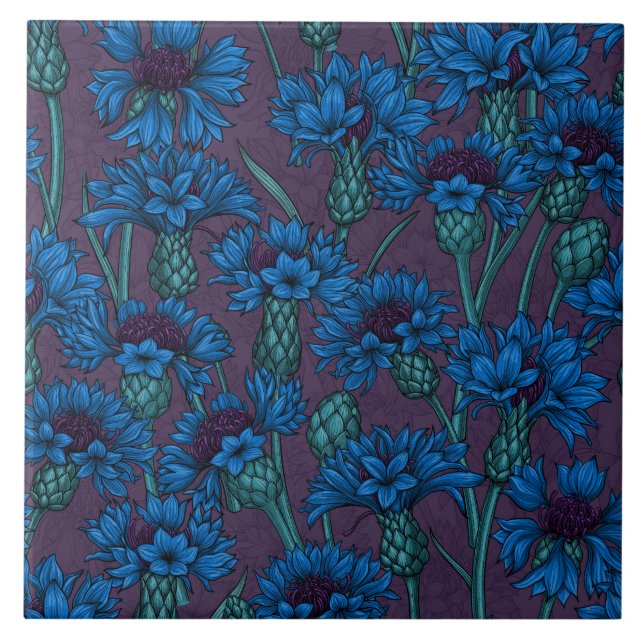 Blue cornflowers, wild flowers ceramic tile (Front)