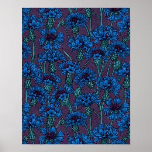 Blue cornflowers wild flowers poster