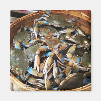 Blue Crab Bushel Magnet