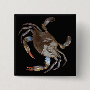 Blue Crab Button