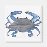 Blue Crab  Magnet