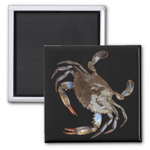 Blue Crab Magnet