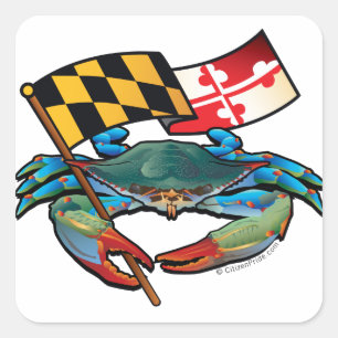 Blue Crab Maryland flag Square Sticker