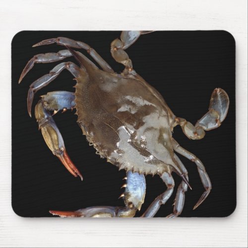 Blue Crab Mouse Pad