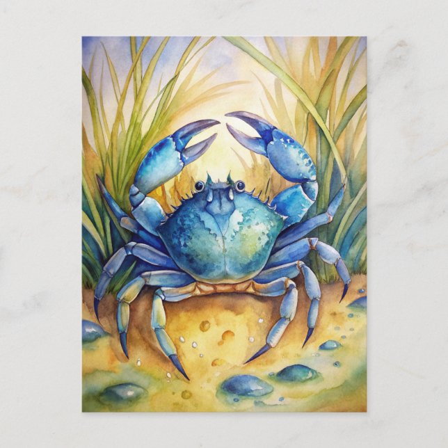 Blue Crab on a Beach Postcard (Front)
