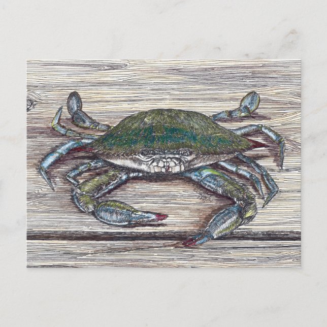Blue Crab on Dock Postcard (Front)