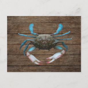 Blue Crab on Wood Postcard